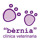 berniaveterinaria